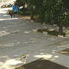<b>Parc Central</b>