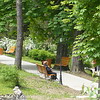 Parc Central<br />
Baile Olanesti