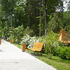 Parc Central<br />
Baile Olanesti