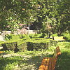 Parc<br />
Baile Olanesti