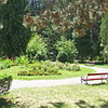 Parc<br />
Baile Olanesti
