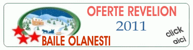 Oferte Revelion 2011 - Baile Olanesti