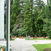 Vila Florilor
